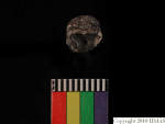 L_V20d4091 A16q37.1 R827 dM bd f4.JPG L_V20d4091 A16q37.1 R827 dM bd f4